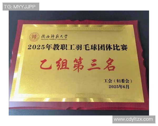 羽毛球心理素质大比拼深圳羽毛球队荣获第二名佳绩